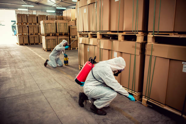 Wildlife Control Services in Ivyland, PA
