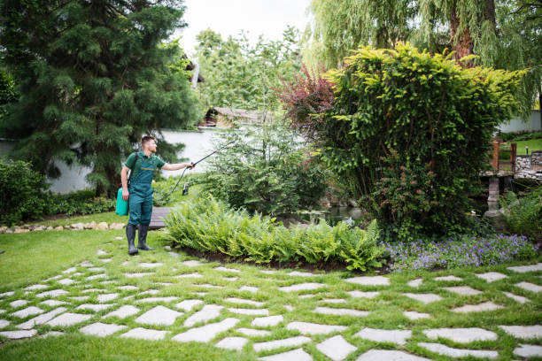 Best Best Pest Control Companies  in Ivyland, PA