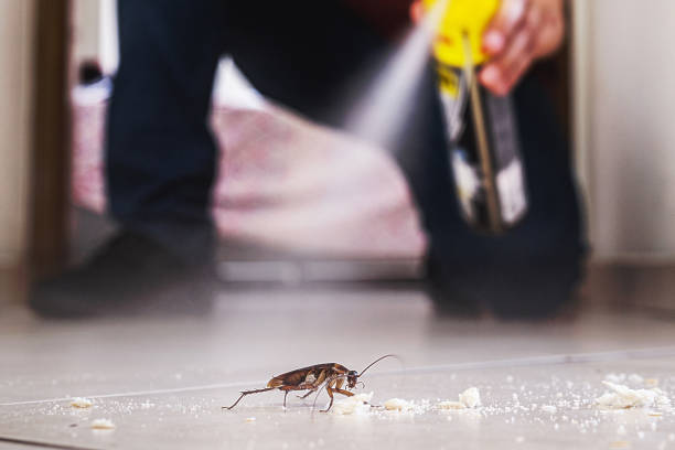 Best Emergency Pest Control  in Ivyland, PA